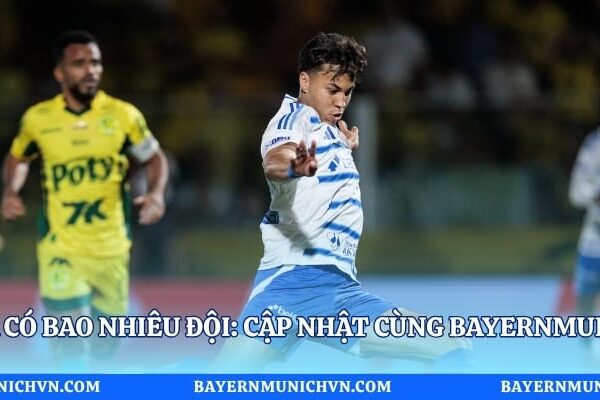 Serie A Có Bao Nhiêu Đội: Cập Nhật Cùng Bayernmunich VN